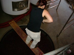 Krys Shadowfax wine07 030