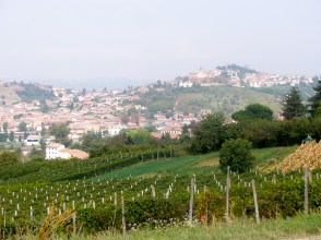 08 Castagnole delle Lanze