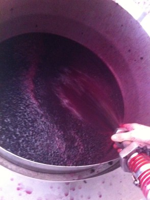 Pumping over the Shiraz