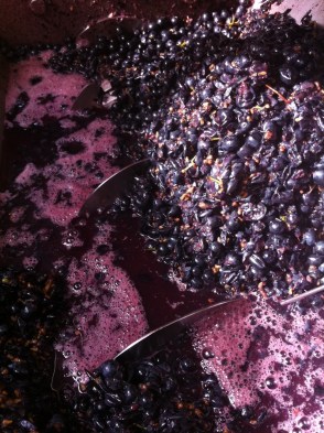 Crushed Shiraz