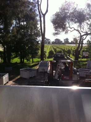 Atop the Receival Bin