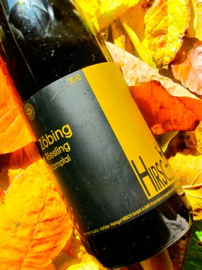 wine, label, kamptal, austria