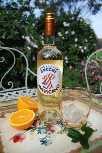 Aperitivo Cocchi Americano Spritz, drink, bottle, photo
