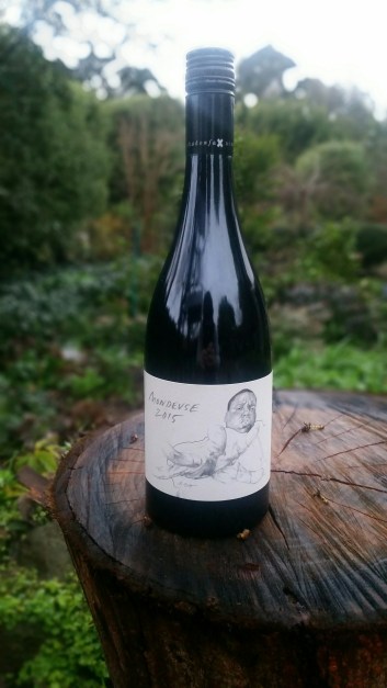 20160620_165955_resized